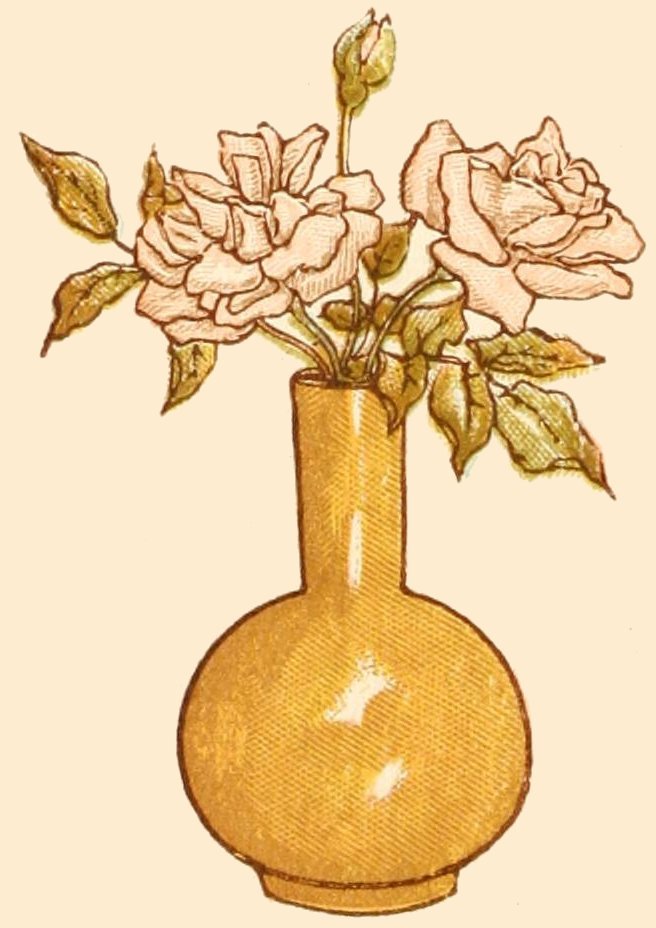 two roses in a vase drawing
