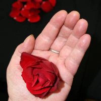 Rose Magic: Roses On My Altar