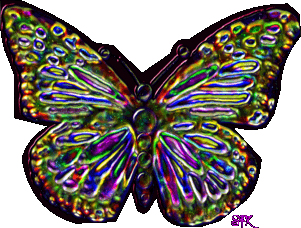 Butterfly Metamorphosis - An incredibly powerful magical symbol and idea for life transformation