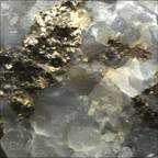 Gold mineral embedded in quartz