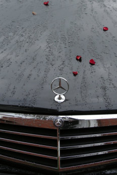 Blessing the mercedes